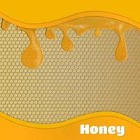 Vector Abstract Honey Background with Honeycomb