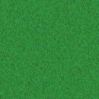 Abstract green grass seamless texture. vector