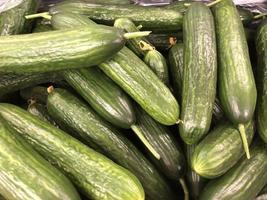 Macro photo green fresh eggs. Stock illustration vegetable green cucumbers