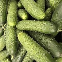 Macro photo green fresh eggs. Stock illustration vegetable green cucumbers