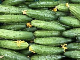 Macro photo green fresh eggs. Stock illustration vegetable green cucumbers