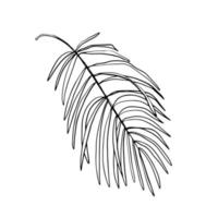 Leaves and tropical palm tree line foliage isolated on white background. vector design