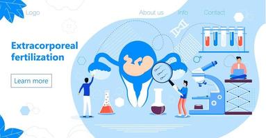 Extracorporeal fertilization concept vector. Tiny reproductive doctors make IVF. Intrauterine life, premature baby and the risk of miscarriage. Gynecologist examines the uterus. vector
