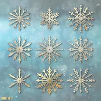 Snowflake set vector