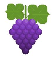 bunch of grapes berries fruits. flat style simple vector