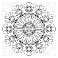 Circular pattern in form of mandala for Henna, Mehndi, tattoo, decoration. Decorative ornament in ethnic oriental style. Coloring book page. vector