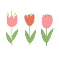 Simple cartoon icons on white background - tulip blooms. 8 March vector