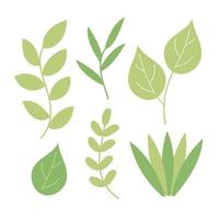 hierba verde y hojas en estilo de dibujos animados, hierba brillante aislada en blanco vector