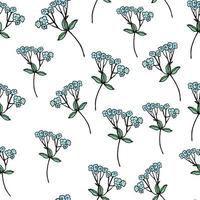 for get me not flower seamless pattern vector