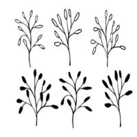 elementos dibujados a mano con tinta floral, aislar sobre fondo blanco vector