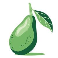 One green avocado with a leaf vector