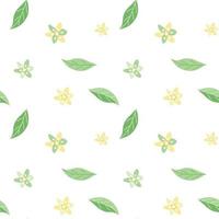 Seamless summer pattern of delicate avocado flowers and leaves vector