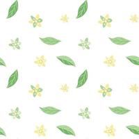 Seamless summer pattern of delicate avocado flowers and leaves vector