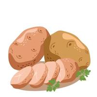 Delicious potatoes in whole and cut form vector