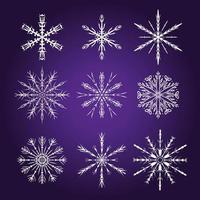 Set 9 white different snowflakes vector