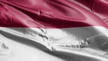 Indonesiens flagga vajar på vindslingan. Indonesiens banner vajande på vinden. full fyllning bakgrund. 10 sekunders loop. video