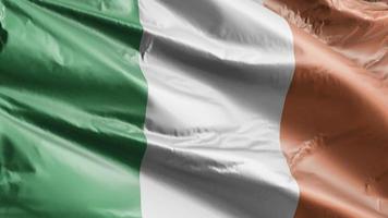 bandiera dell'Irlanda che ondeggia lentamente sul ciclo del vento. bandiera irlandese che ondeggia dolcemente sulla brezza. sfondo di riempimento completo. Ciclo di 20 secondi. video