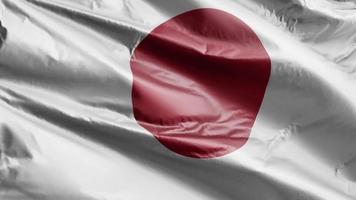 Japans flagga vajar långsamt på vindslingan. japansk banderoll svajar smidigt på vinden. full fyllning bakgrund. 20 sekunders loop. video