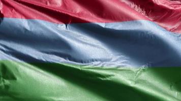 Karelia textile flag slow waving on the wind loop. Karelian banner smoothly swaying on the breeze. Fabric textile tissue. Full filling background. 20 seconds loop. video