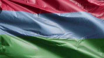 Karelia flag slow waving on the wind loop. Karelian banner smoothly swaying on the breeze. Full filling background. 20 seconds loop. video