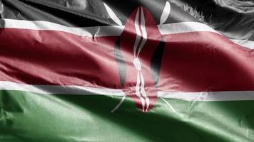 Kenya textile flag slow waving on the wind loop. Kenyan banner smoothly swaying on the breeze. Fabric textile tissue. Full filling background. 20 seconds loop. video