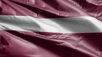 Latvia flag slow waving on the wind loop. Latvian banner smoothly swaying on the breeze. Full filling background. 20 seconds loop. video