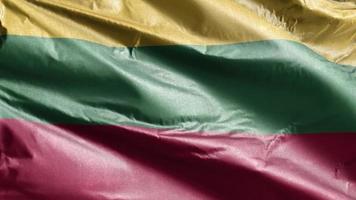 Lithuania textile flag slow waving on the wind loop. Lithuanian banner smoothly swaying on the breeze. Fabric textile tissue. Full filling background. 20 seconds loop. video