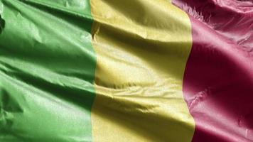 bandeira têxtil mali acenando lentamente no loop de vento. bandeira maliana balançando suavemente na brisa. tecido tecido têxtil. fundo de preenchimento completo. Ciclo de 20 segundos. video