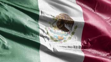 mexico textiel vlag zwaaien op de wind-lus. mexicaanse banner zwaaiend op de wind. stof textiel weefsel. volledige vulling achtergrond. 10 seconden lus. video