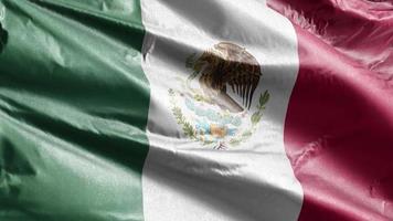 mexico textielvlag langzaam zwaaiend op de windlus. mexicaanse banner soepel zwaaiend op de wind. stof textiel weefsel. volledige vulling achtergrond. 20 seconden lus. video