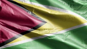 guyana textil flagga långsamt viftande på vinden loopen. Guyanesisk banderoll svajar smidigt på vinden. tyg textilvävnad. full fyllning bakgrund. 20 sekunders loop. video