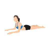 Woman doing salamba bhujangasana sphinx pose exercise. Flat vector illustration isolated on white background