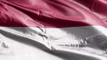 Indonesia textile flag waving on the wind loop. Indonesia banner swaying on the breeze. Fabric textile tissue. Full filling background. 10 seconds loop. video