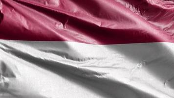 Indonesiens textilflagga vajar långsamt på vindslingan. Indonesiens banderoll svajar smidigt på vinden. tyg textilvävnad. full fyllning bakgrund. 20 sekunders loop. video