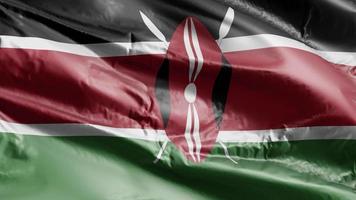 drapeau kenya agitant sur la boucle du vent. bannière kenyane se balançant sur la brise. fond de remplissage complet. Boucle de 10 secondes. video