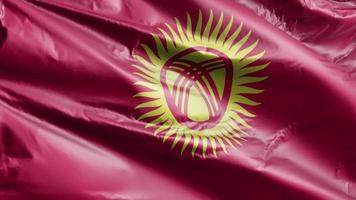 Kyrgyzstan flag slow waving on the wind loop. Kyrgyz banner smoothly swaying on the breeze. Full filling background. 20 seconds loop. video