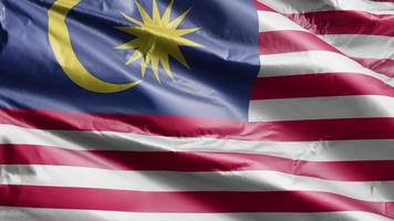 Malaysia flag slow waving on the wind loop. Malaysian banner smoothly swaying on the breeze. Full filling background. 20 seconds loop. video