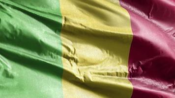 mali textiel vlag zwaaien op de wind lus. Malinese banner zwaaiend op de wind. stof textiel weefsel. volledige vulling achtergrond. 10 seconden lus. video