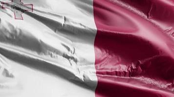 Malta flag waving on the wind loop. Maltese banner swaying on the breeze. Full filling background. 10 seconds loop. video