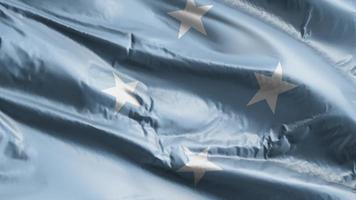 bandera de los estados federados de micronesia ondeando en el bucle de viento. bandera de los estados federados de micronesia meciéndose en la brisa. fondo de relleno completo. Bucle de 10 segundos. video