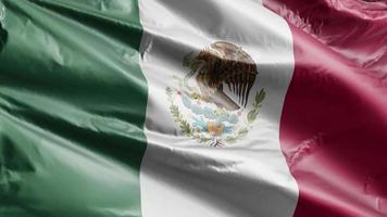 bandeira do méxico acenando lentamente no loop de vento. bandeira mexicana balançando suavemente na brisa. fundo de preenchimento completo. Ciclo de 20 segundos. video