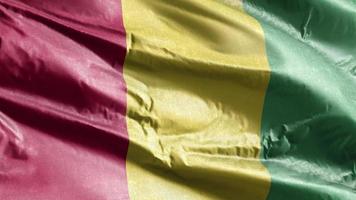 Guinee textiel vlag zwaaien op de wind-lus. Guinese banner zwaaiend op de wind. stof textiel weefsel. volledige vulling achtergrond. 10 seconden lus. video