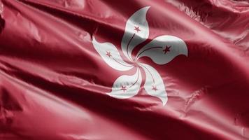 bandeira de hong kong acenando lentamente no loop de vento. bandeira de Hong Kong balançando suavemente na brisa. fundo de preenchimento completo. Ciclo de 20 segundos. video