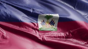 haiti flaggan viftar på vindslingan. haitisk banderoll vajande på vinden. full fyllning bakgrund. 10 sekunders loop. video