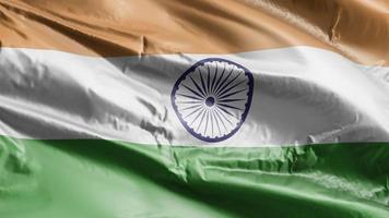 India flag waving on the wind loop. India banner swaying on the breeze. Full filling background. 10 seconds loop. video