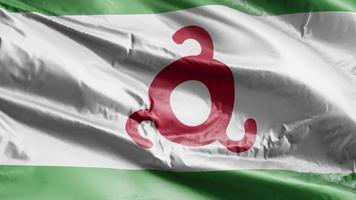 bandiera dell'inguscia sventola sul ciclo del vento. stendardo inguscezia che ondeggia nella brezza. sfondo di riempimento completo. Ciclo di 10 secondi. video