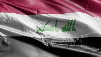 bandeira do iraque acenando no loop de vento. bandeira iraquiana balançando na brisa. fundo de preenchimento completo. loop de 10 segundos. video