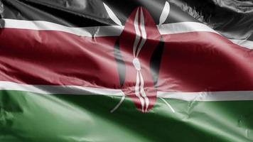 kenya flagga långsamt viftande på vindslingan. kenyansk banderoll svajar smidigt på vinden. full fyllning bakgrund. 20 sekunders loop. video