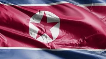 Nordkoreas flagga vajar på vindslingan. nordkoreanska banderoll vajande på vinden. full fyllning bakgrund. 10 sekunders loop. video