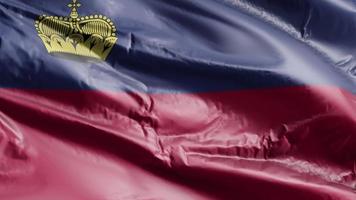 Bandera de liechtenstein ondeando en el bucle de viento. bandera de Liechtenstein meciéndose en la brisa. fondo de relleno completo. Bucle de 10 segundos. video